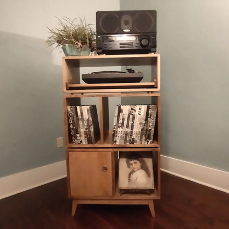 record-storage-cabinet-bookcase